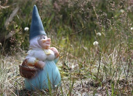 i73384176._szw270h3500_